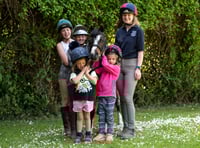 Crediton vet’s dental care warning after pony’s life in danger
