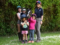Crediton vet’s dental care warning after pony’s life in danger
