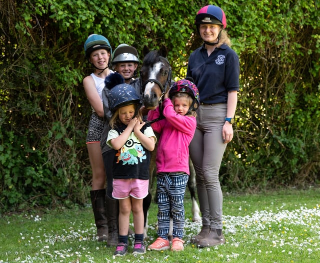 Crediton vet’s dental care warning after pony’s life in danger
