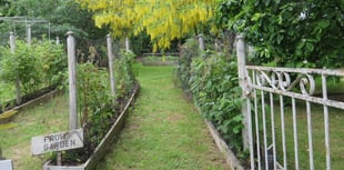 Lewis Cottage visit for Colebrooke Women’s Institute
