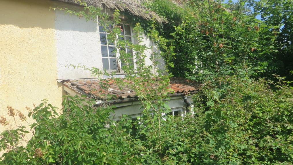 Crediton Hamlets Council concerns about abandoned Listed cottage 