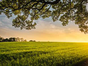 Leading local farmer found dead