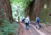 Fine views to Posbury and beyond for Crediton Walk and Talk
