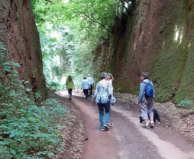 Fine views to Posbury and beyond for Crediton Walk and Talk
