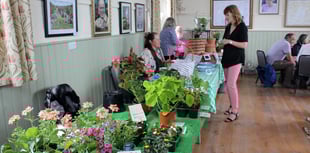 Next Hittisleigh market will be held on July 8
