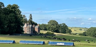 Sandford Cricket Club Community League