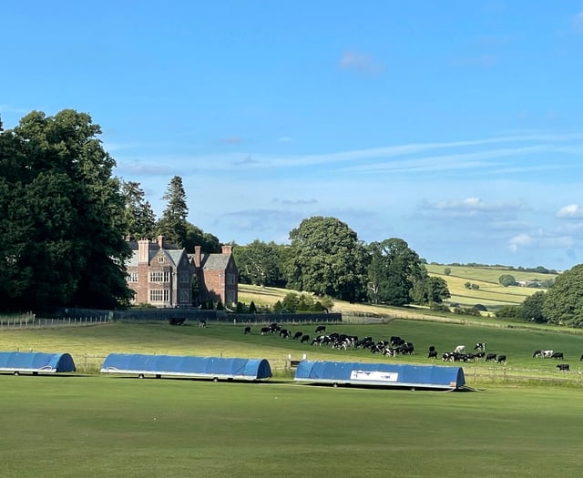 Sandford Cricket Club gears up for 2025 season with friendlies
