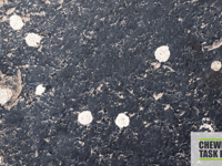 North Devon Council awarded funding to tackle chewing gum issue
