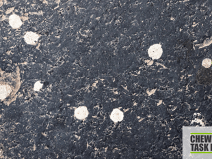 North Devon Council awarded funding to tackle chewing gum issue
