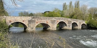 Tree down closes Bickleigh Bridge

