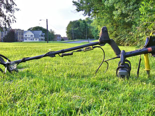 History Society hear talk on metal detecting
