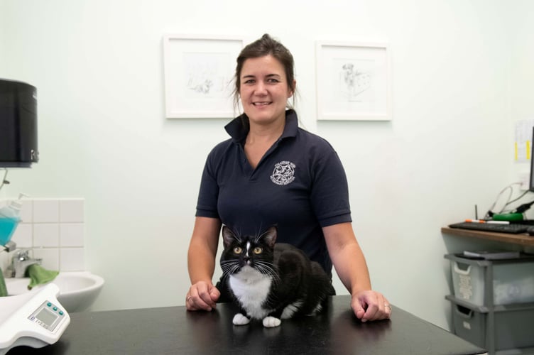 Fika with vet Lizzy Linney from Jonathan Wood Vets.