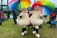 It was muddy but a great Mid Devon Show for the brave and hardy
