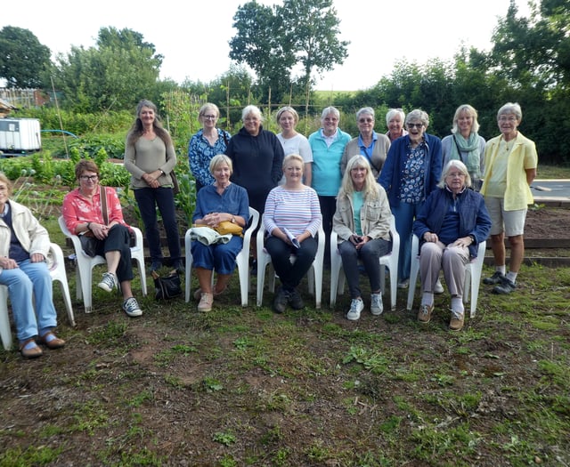 Guided walk around allotments for Cheriton Fitzpaine Garden Club
