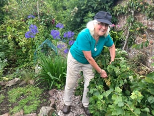 Sandford Parish Council best garden, hanging baskets and tubs results
