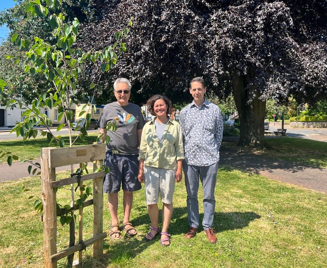 Crediton group assists Mid Devon Council at St Lawrence Green
