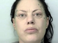 'Dognapper' used pistol in terrifying pet raid