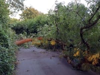 Highways teams thanked for swift clear-up after Storm Antoni