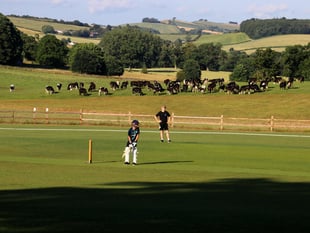 Three more great wins for Sandford Cricket Club
