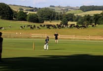 Three more great wins for Sandford Cricket Club
