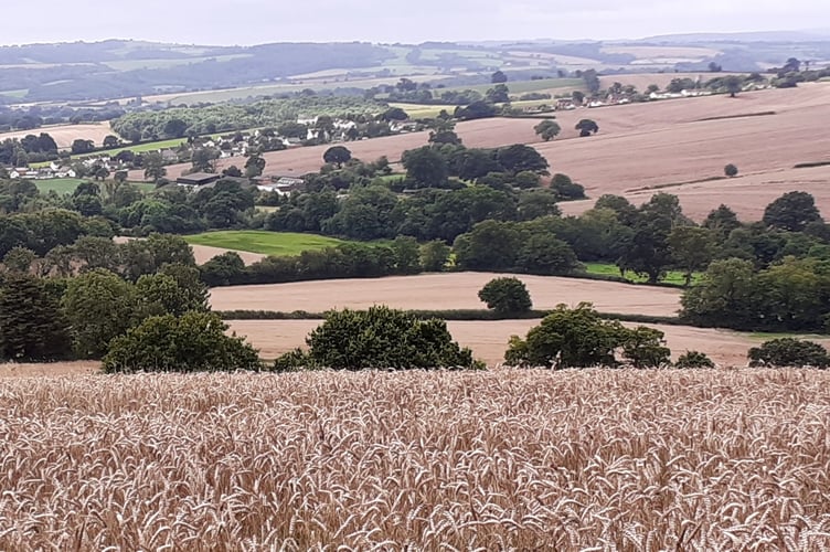 The distant view towards Shobrooke.