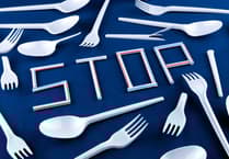 Time to think about ban on single use plastics, Devon businesses warned