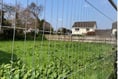Planners say no to homes on communal green space in North Devon

