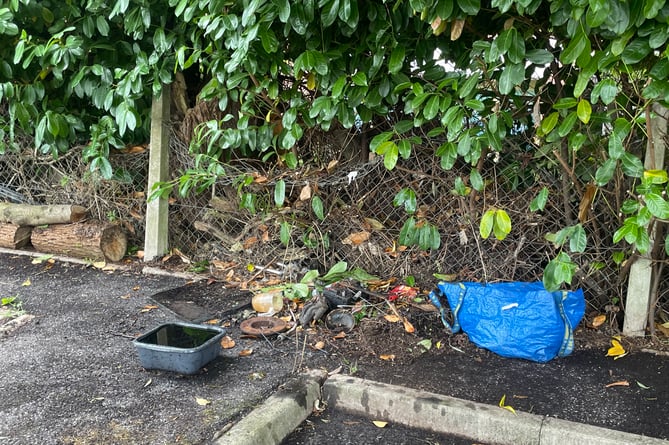 Some of the waste left behind after the car park clean-up.  AQ 4655