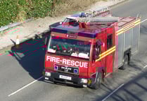 Emergency services called out to rescue horse