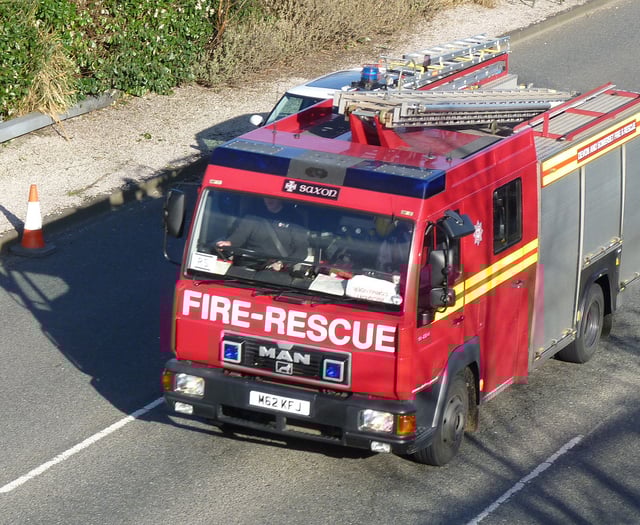 Emergency services called out to rescue horse