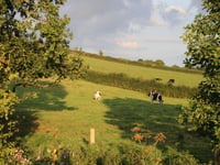 Save local services and the climate, claims Mid Devon resident
