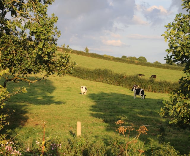 Save local services and the climate, claims Mid Devon resident
