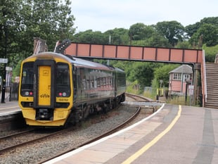 Animals on rail line causing fewer trains to run
