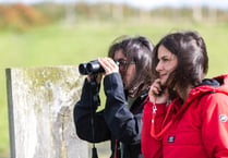 Call for volunteers to help survey 100 miles of North Devon sealife