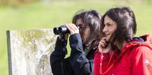 Call for volunteers to help survey 100 miles of North Devon sealife