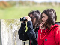 Call for volunteers to help survey 100 miles of North Devon sealife