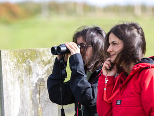 Call for volunteers to help survey 100 miles of North Devon sealife