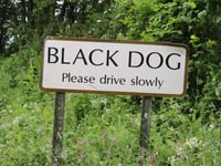 Black Dog Inn 'should be given another chance' says council