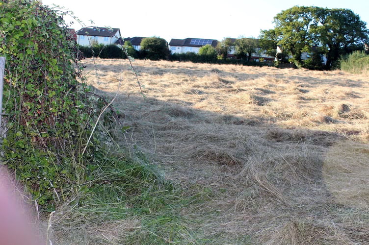 Looking over the field towards Avranches Avenue. SR 8853