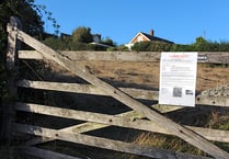 14 objections to-date to Alexandra Close, Crediton homes plan
