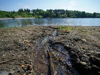 Almost 2,000 sewage overflows in Mid Devon last year