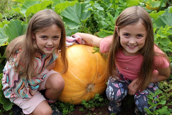 The twins with one of the large size pumpkins.  SR 8807