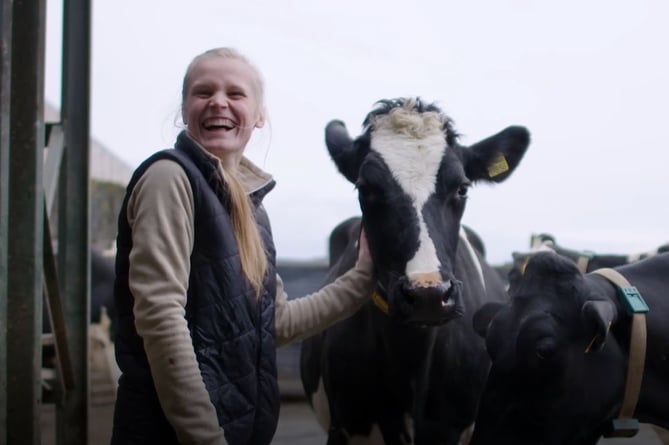 A Crediton Dairy farmer with some of her cows.