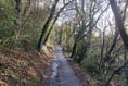 Help at hand for ‘nightmare’ lane residents in Longdown
