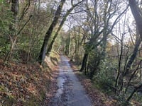 Help at hand for ‘nightmare’ lane residents in Longdown
