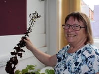 Seed saving and book swap with Sustainable Crediton
