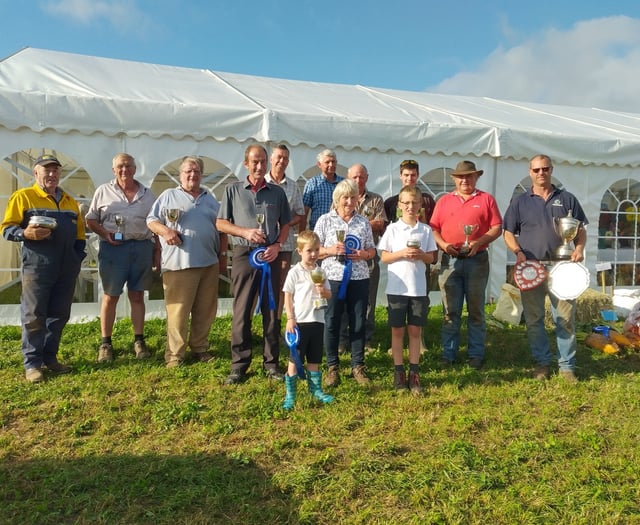 Near perfect conditions for Witheridge ploughing match
