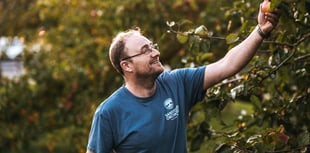 Devon's wet summer is a boost for cider business
