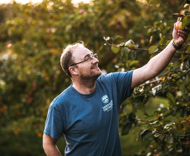 Devon's wet summer is a boost for cider business
