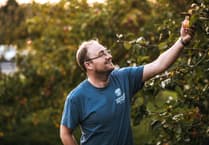 Letter: The biggest apple harvest in my lifetime